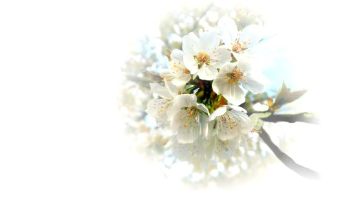 background, wallpaper, hintergrundbild (free)