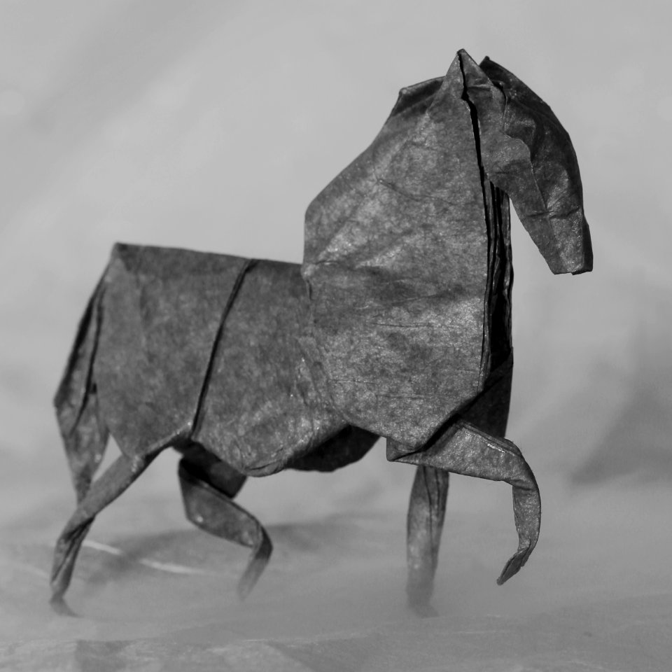 horse