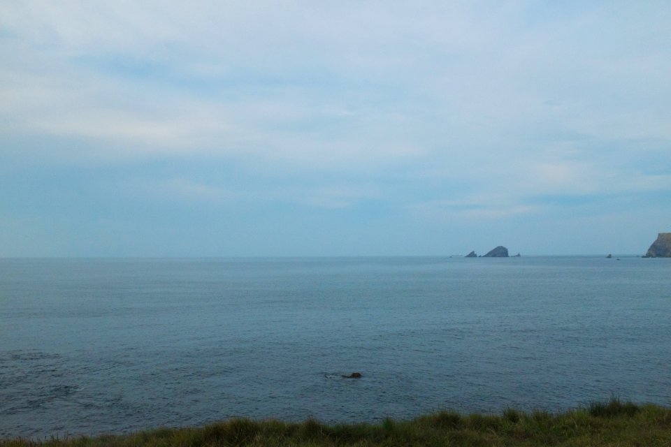 Verdicio, Asturias