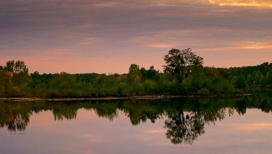 An autumn morning at the lake. photo