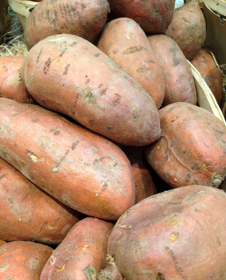 Sweet potatoes vegetable garden market