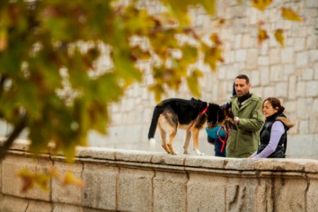 Madrid Otoño