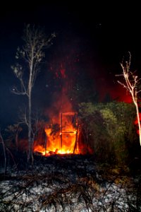 Bario Bush Fire Casualty #4