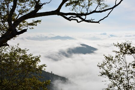 Terrace cloud japan