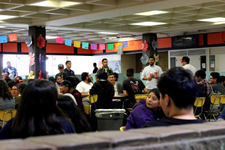 IMG 7833