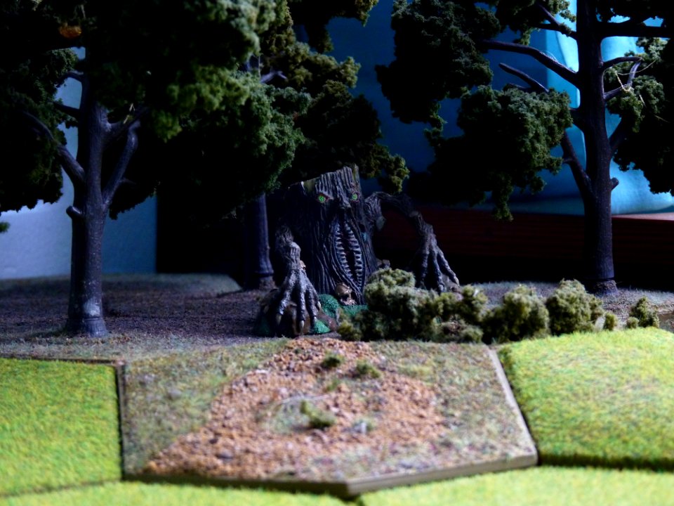 P1000818