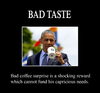 Obama's bad taste photo