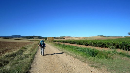 Chemin de compostelle