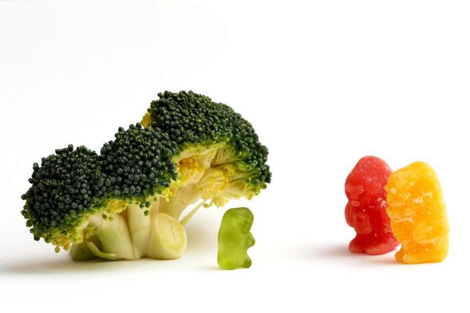 It was clear bears do, but red was still shocked