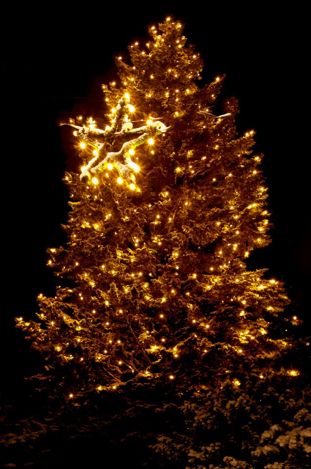 Christmas dream snow glass ball