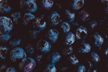 fresh bio blackberry, blueberry photo