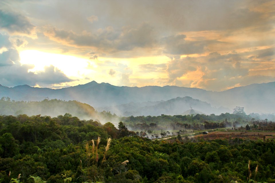 Smoke In The Clouds