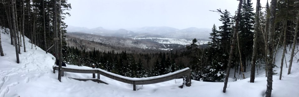 Panoramique