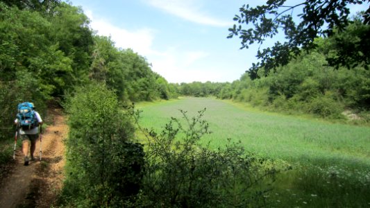 Chemin de compostelle