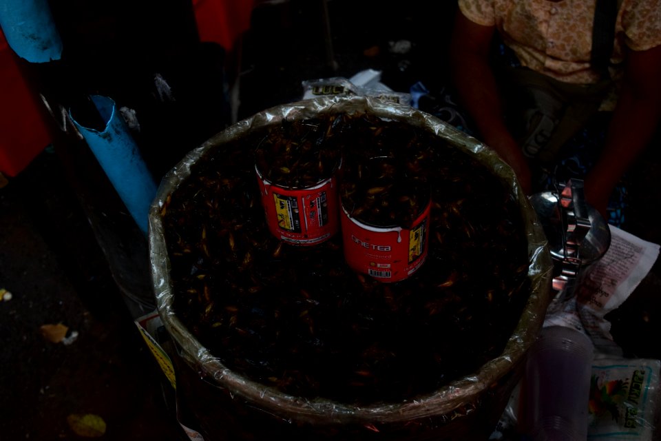 DSC 0565