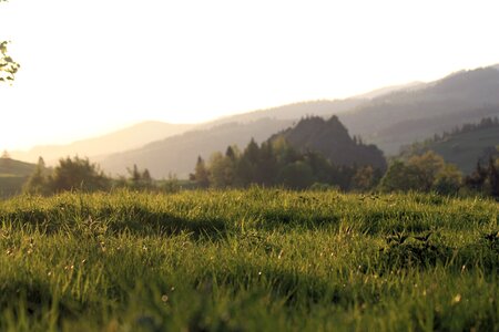 Pieniny mountains landscape