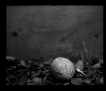 002231-rock