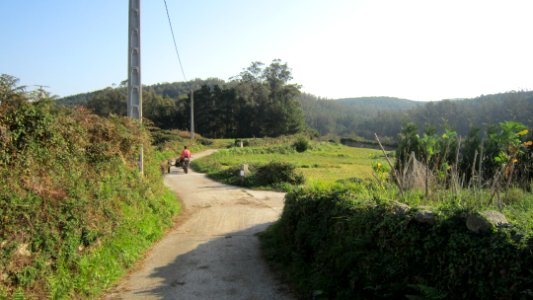 Chemin de compostelle