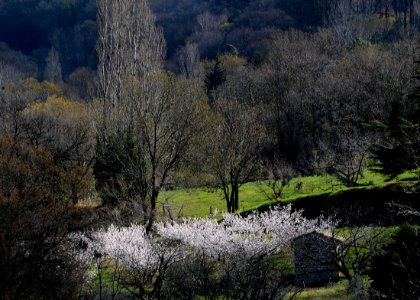 Chemin des Palissses - Mars 2016