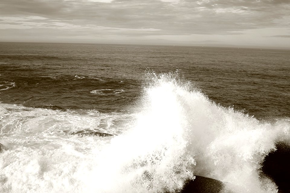 Splash