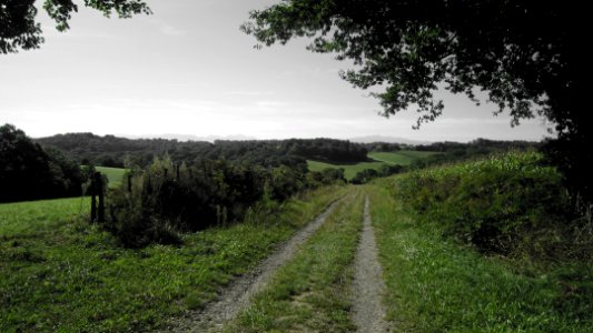 Chemin de compostelle