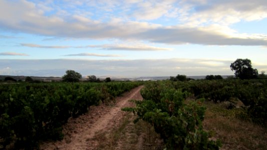 Chemin de compostelle