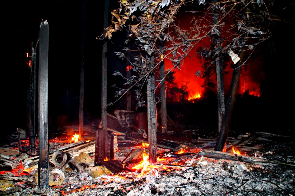 Bario Bush Fire Casualty #1