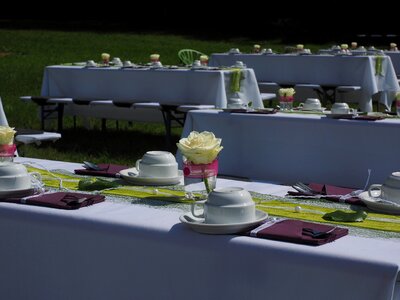 Celebration cover gedeckter table