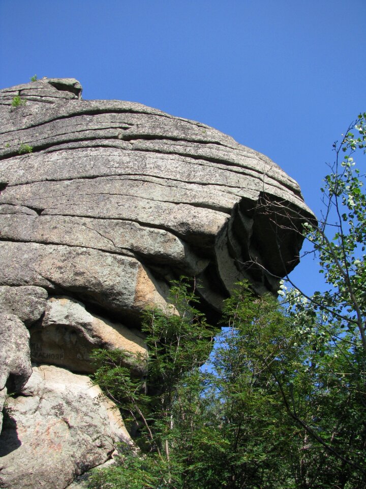 Belokurikha tourism altai