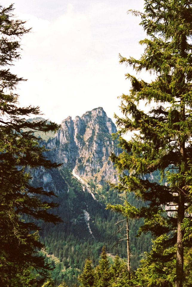 Bergwald-Erlebnispfad Inzell Staffen - Kodak Portra 400