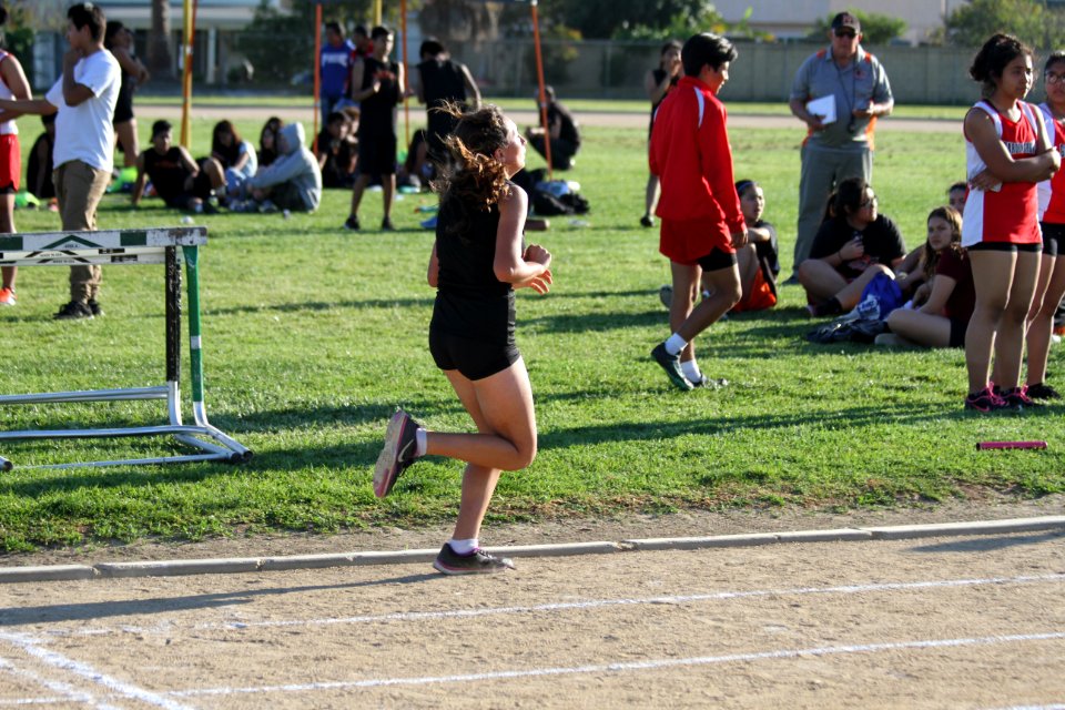 IMG 2393
