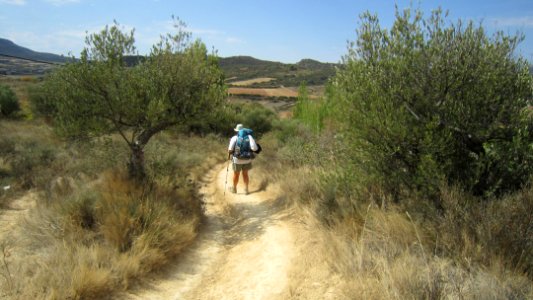 Chemin de compostelle
