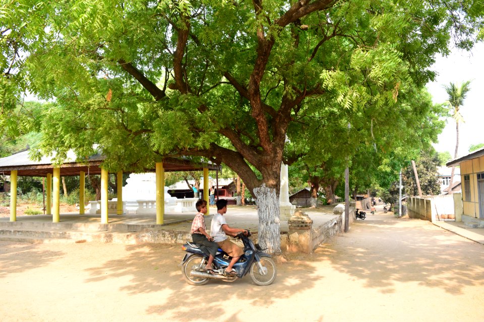 DSC 0671