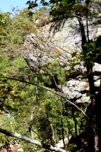 Petit jean
