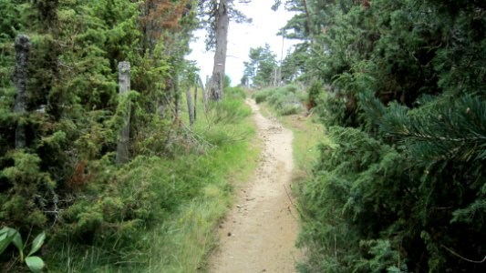 Chemin de compostelle