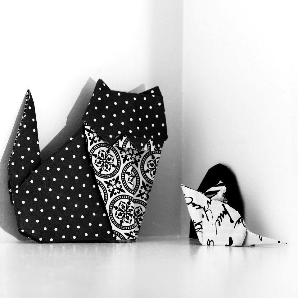 le chat et la souris