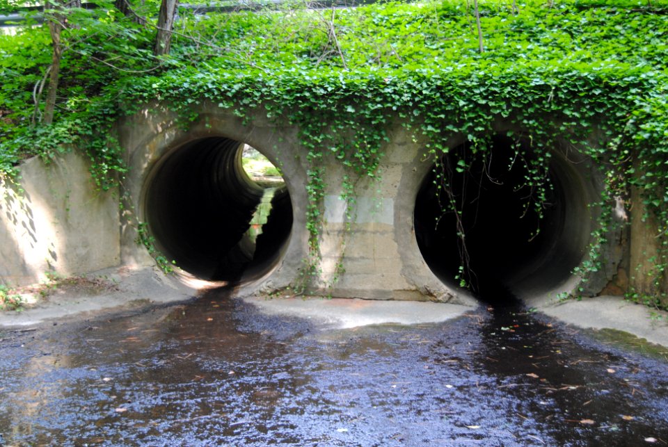 Pipes under Steeplechase