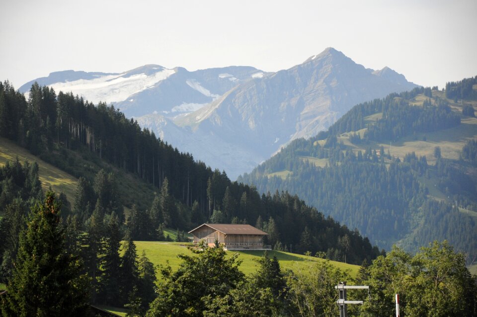 Summer nature landscape