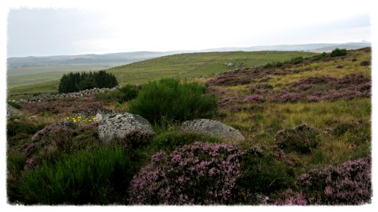 Chemin de compostelle