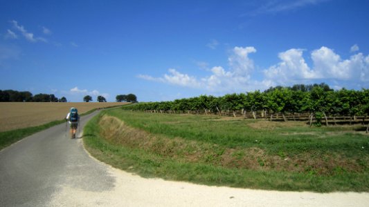 Chemin de compostelle