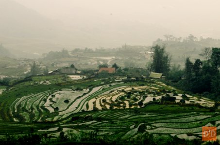 DSC 0200