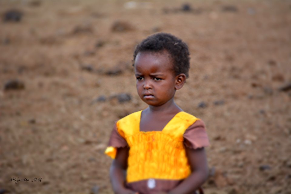 Kenya - Masái Mara