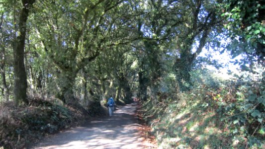 Chemin de Compostelle