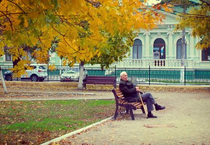 The old man autumn bench photo