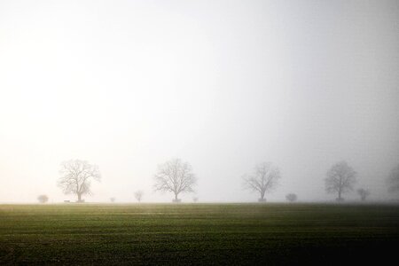 Tranquility landscape balance
