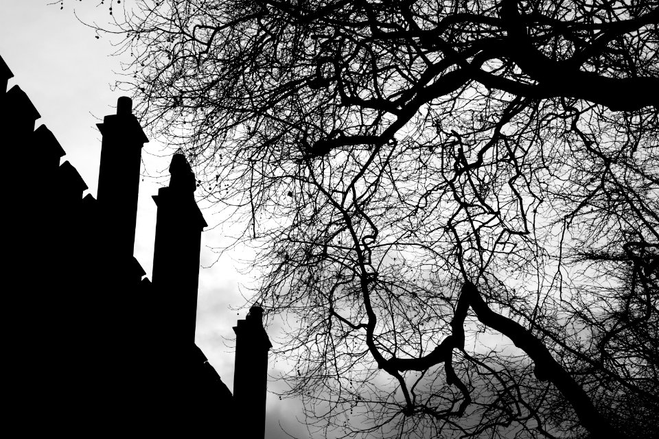 Roof of Brasenose College