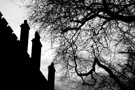 Roof of Brasenose College