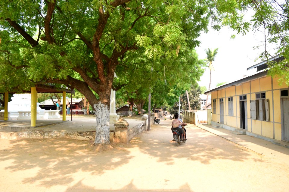 DSC 0672