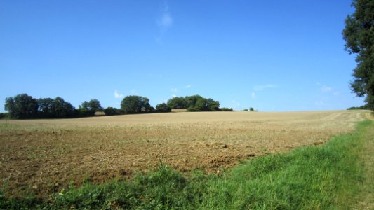Chemin de compostelle