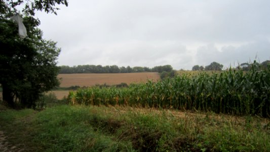 Chemin de compostelle